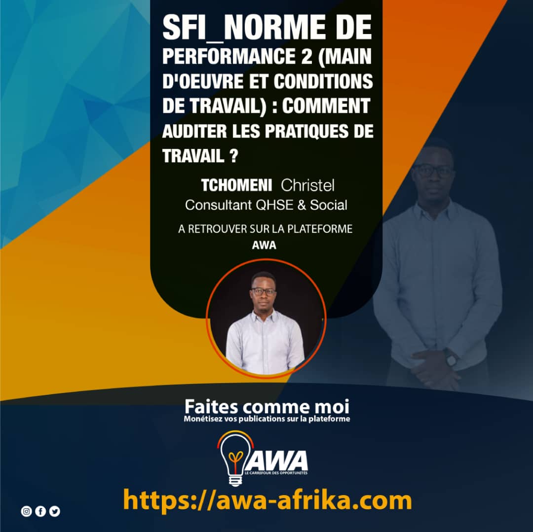 SFI_Norme de performance 2 (main d'oeuvre et conditions de travail) : comment auditer les pratiques de travail ? 