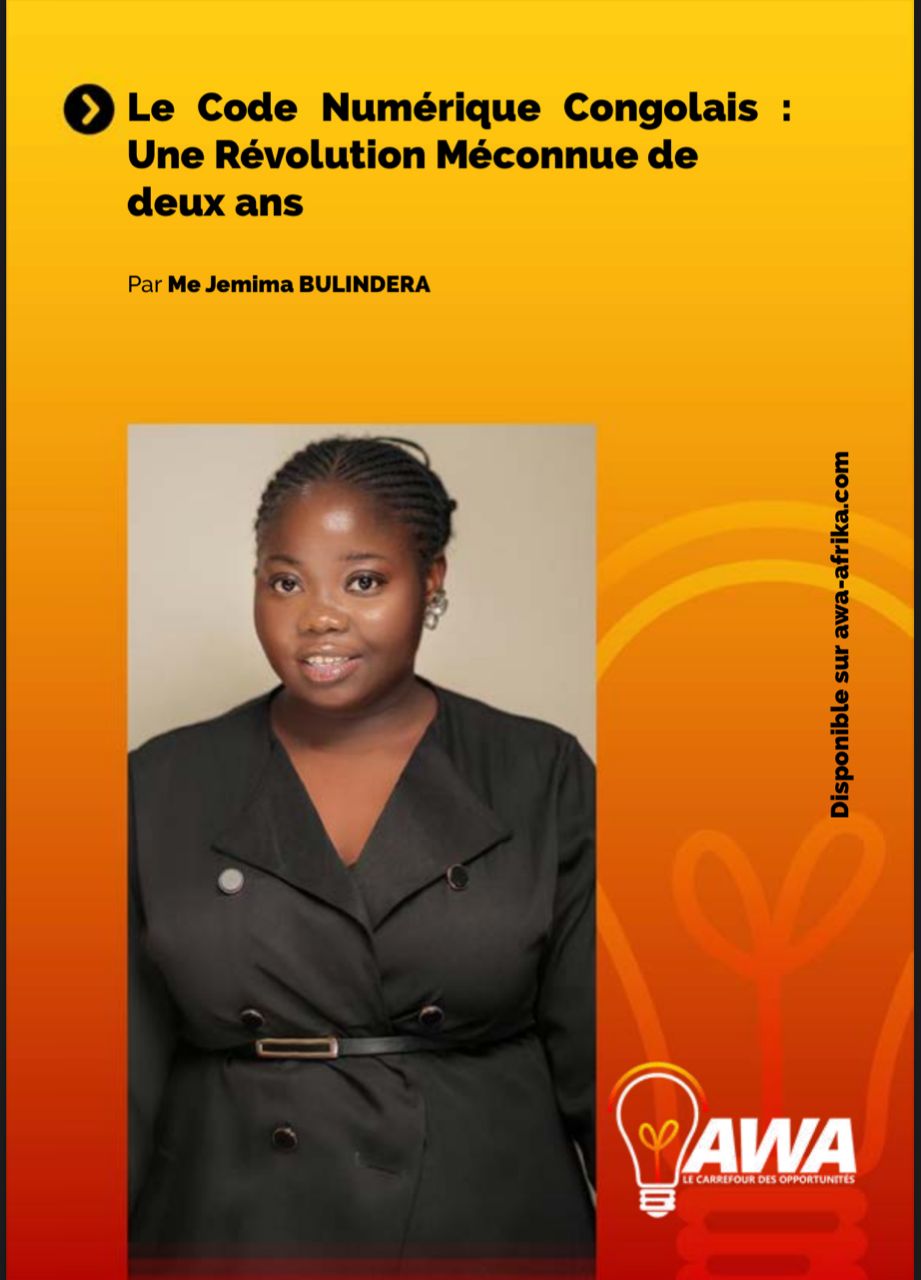 Le code numerique congolais Une revolution meconnue de deux ans 