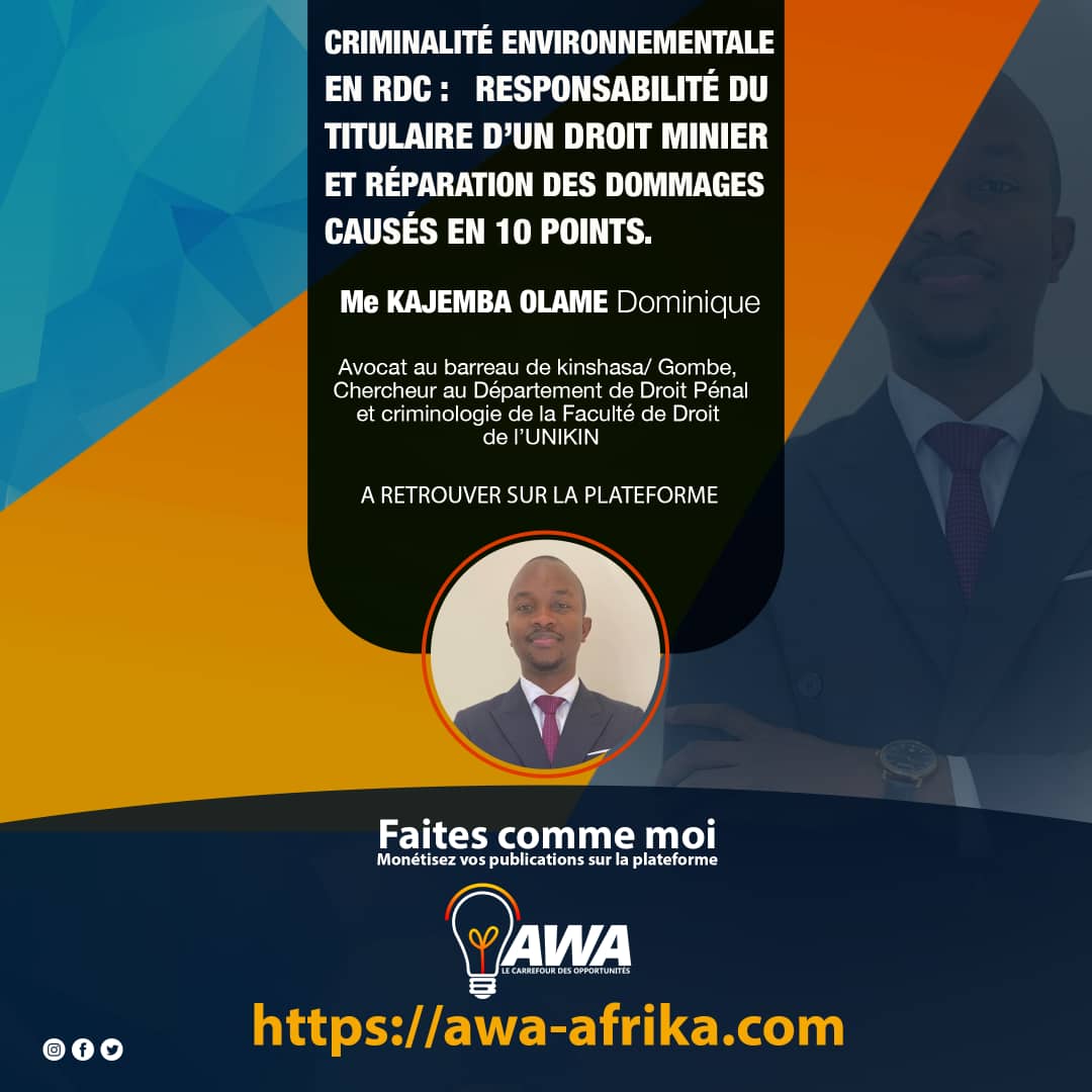 CRIMINALITE ENVIRONNEMENTALE EN RDC : RESPONSABILITE DU TITULAIRE D’UN DROIT MINIER ET REPARATION DES DOMMAGES CAUSES EN (10) POINTS