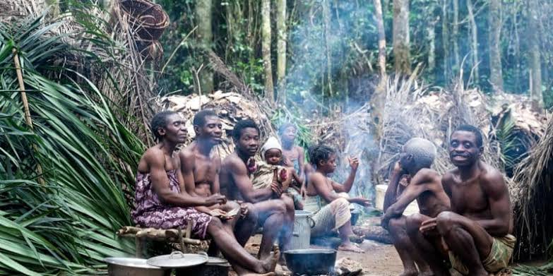 Protection des peuples autochtones pygmées : quelles innovations ?