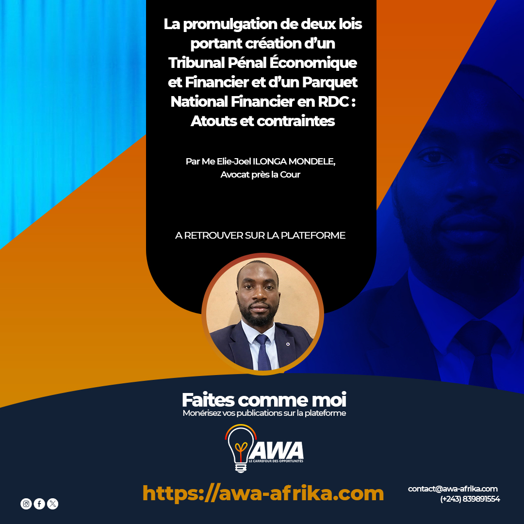 La promulgation de deux lois portant création d’un Tribunal Penal Economique et Financier et d’un Parquet National Financier en RDC : Atouts et contraintes